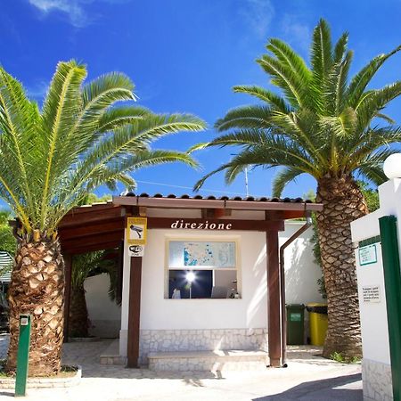Residence La Conchiglia Βιέστε Εξωτερικό φωτογραφία