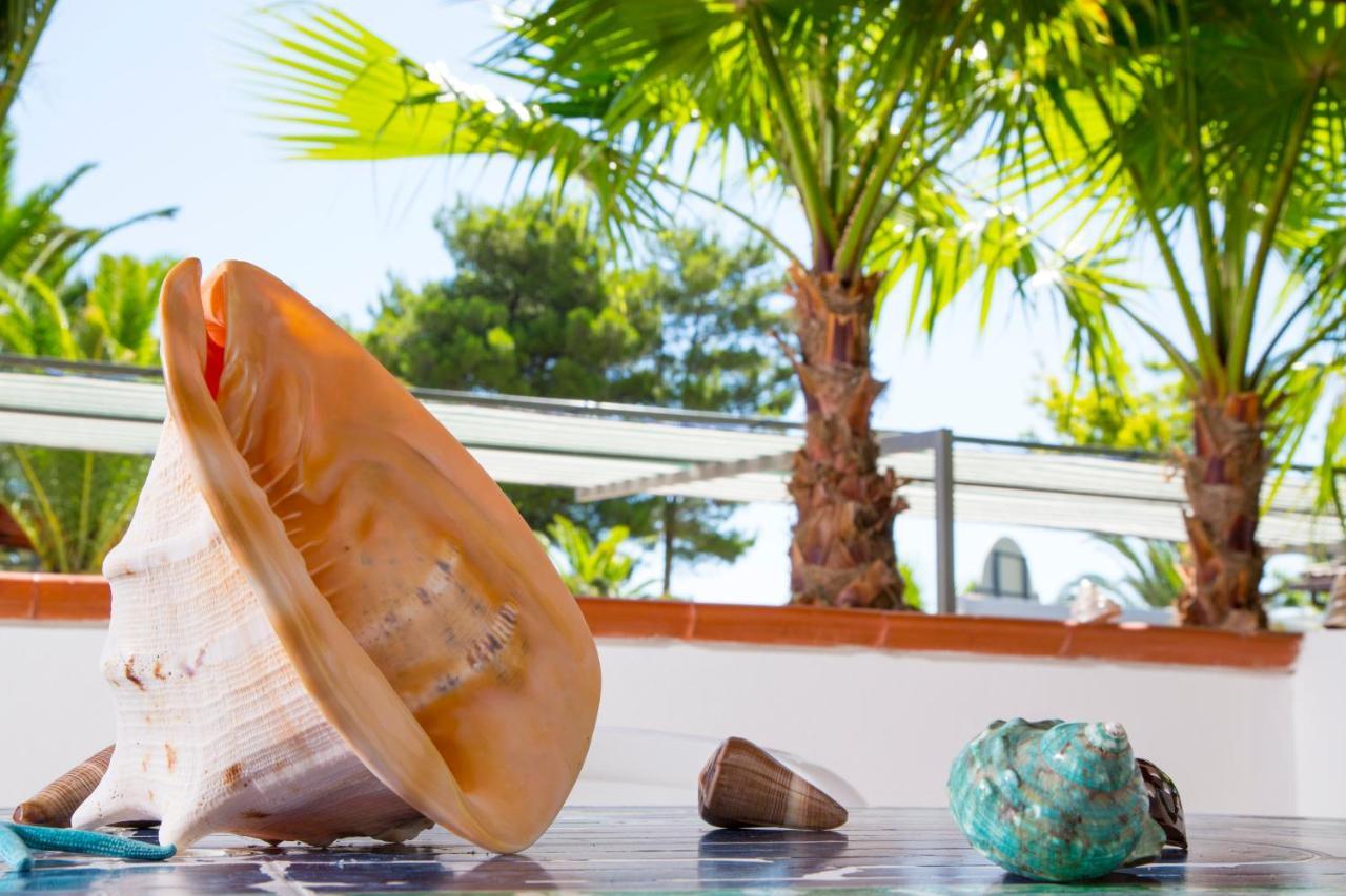 Residence La Conchiglia Βιέστε Εξωτερικό φωτογραφία