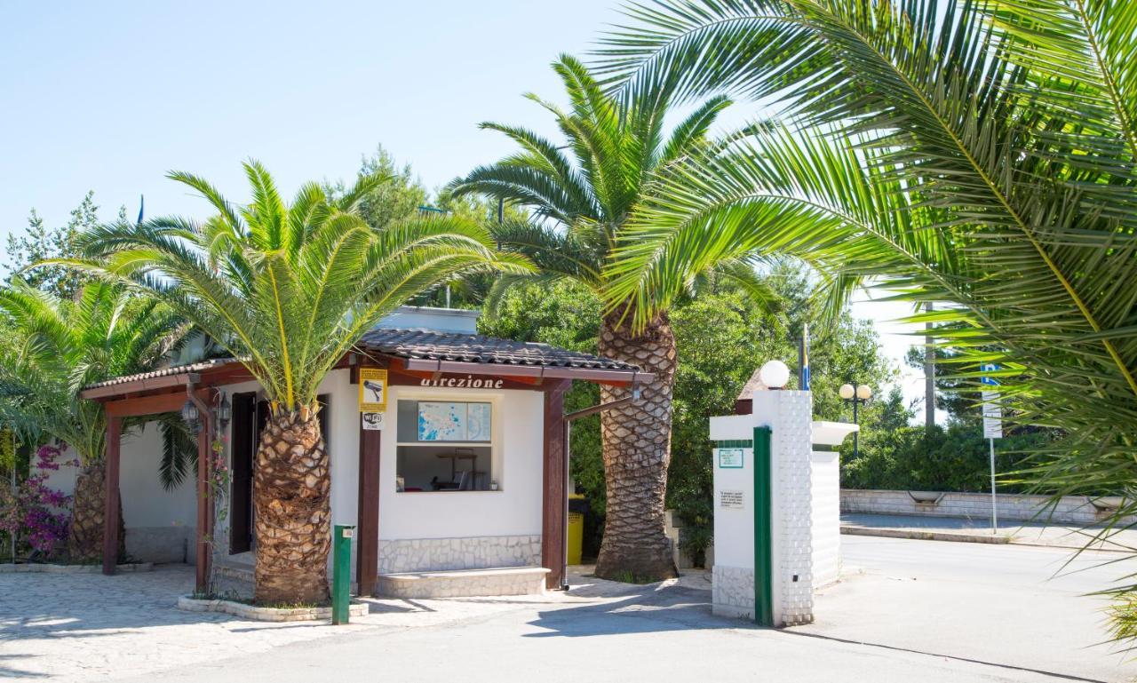 Residence La Conchiglia Βιέστε Εξωτερικό φωτογραφία