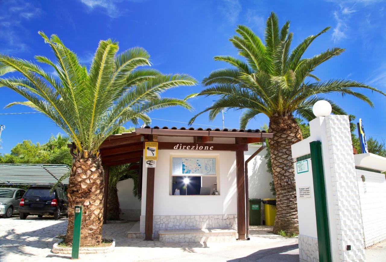 Residence La Conchiglia Βιέστε Εξωτερικό φωτογραφία