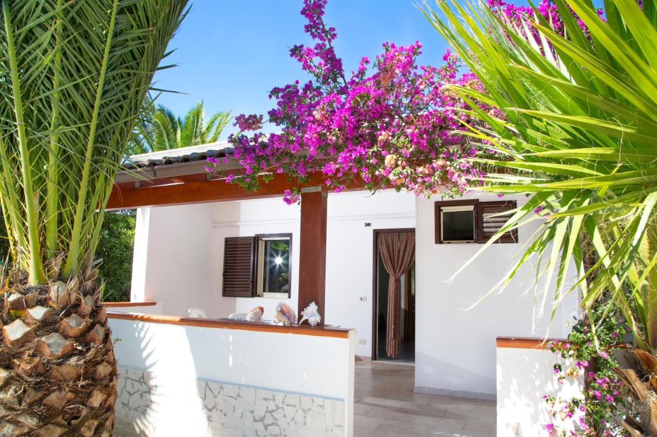 Residence La Conchiglia Βιέστε Εξωτερικό φωτογραφία